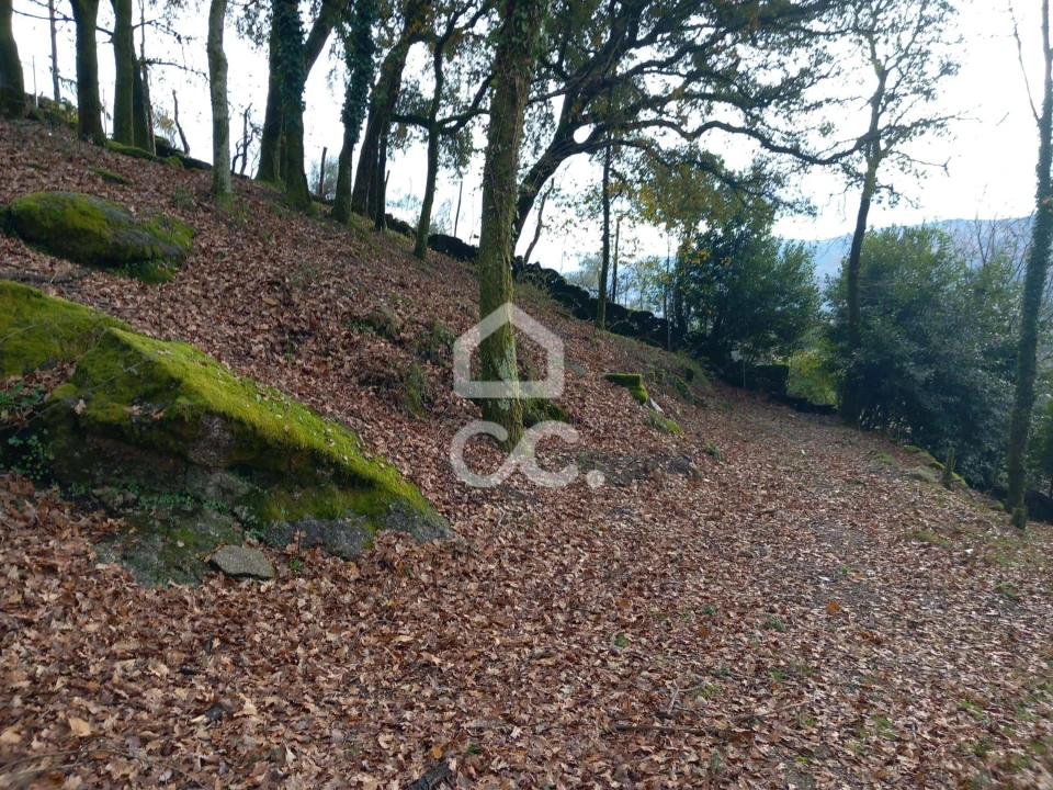 Quinta T3 para Venda em Rossas Foto 22