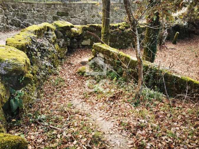 Quinta T3 para Venda em Rossas Foto 19