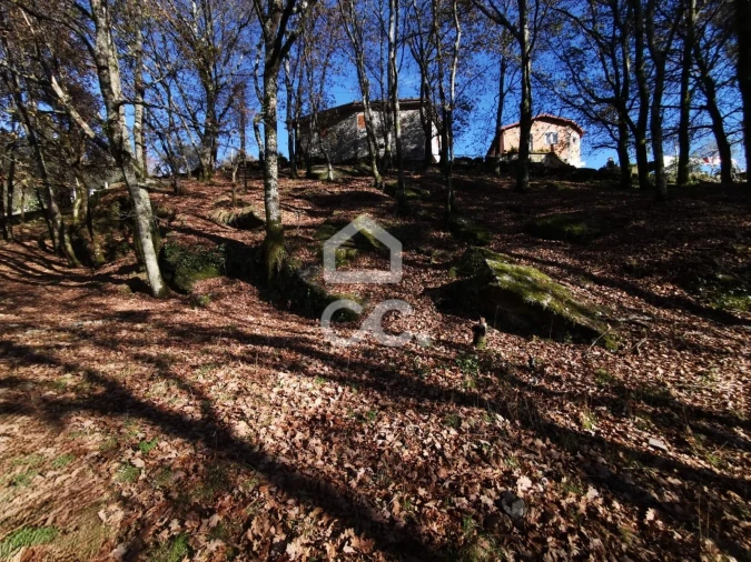 Quinta T3 para Venda em Rossas Foto 5