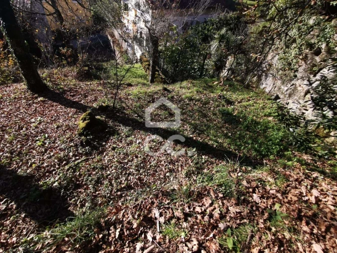 Quinta T3 para Venda em Rossas Foto 18