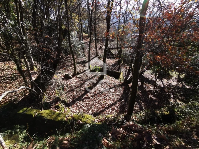 Quinta T3 para Venda em Rossas Foto 14