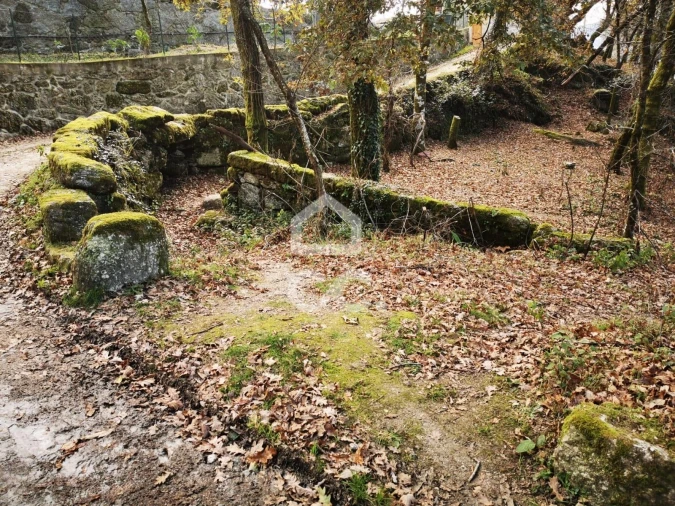 Quinta T3 para Venda em Rossas Foto 42