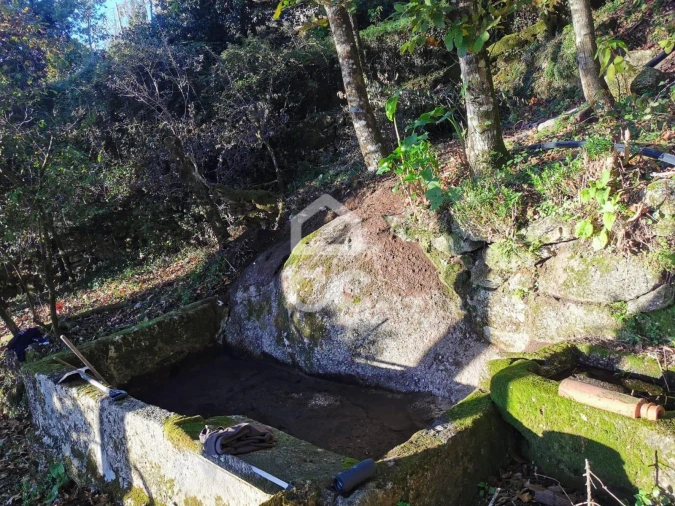 Quinta T3 para Venda em Rossas Foto 13