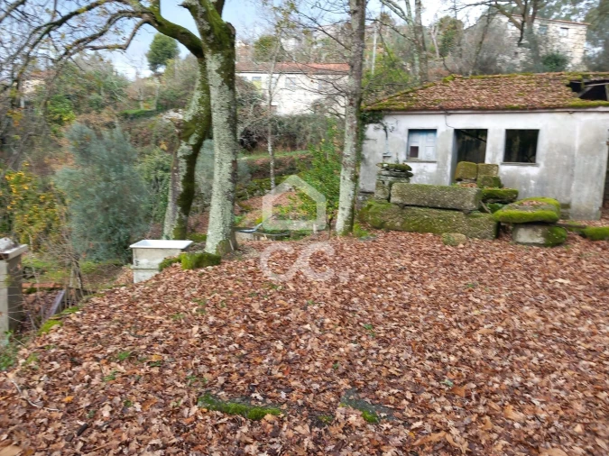 Quinta T3 para Venda em Rossas Foto 9