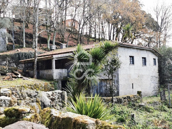 Quinta T3 para Venda em Rossas Foto 2