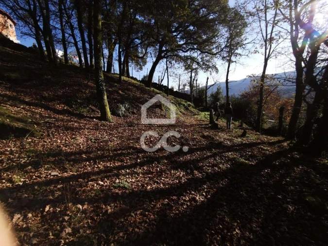 Quinta T3 para Venda em Rossas Foto 43