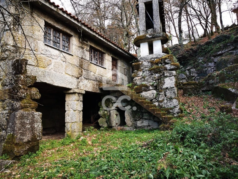 Quinta T3 para Venda em Rossas Foto 3