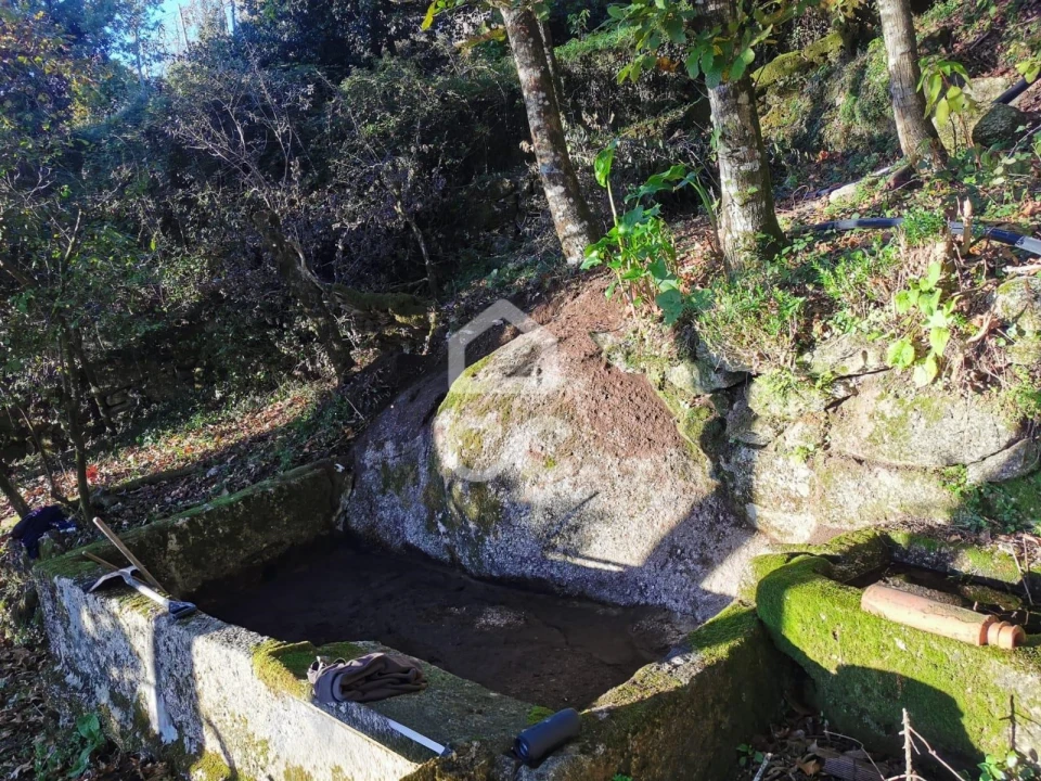 Quinta T3 para Venda em Rossas Foto 13