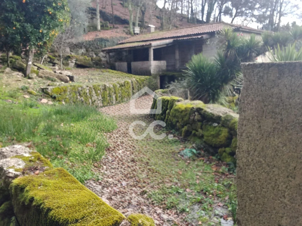 Quinta T3 para Venda em Rossas Foto 4