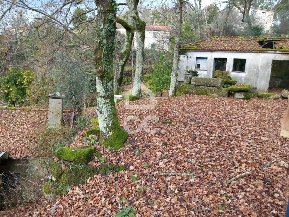 Quinta T3 para Venda em Rossas Foto 8