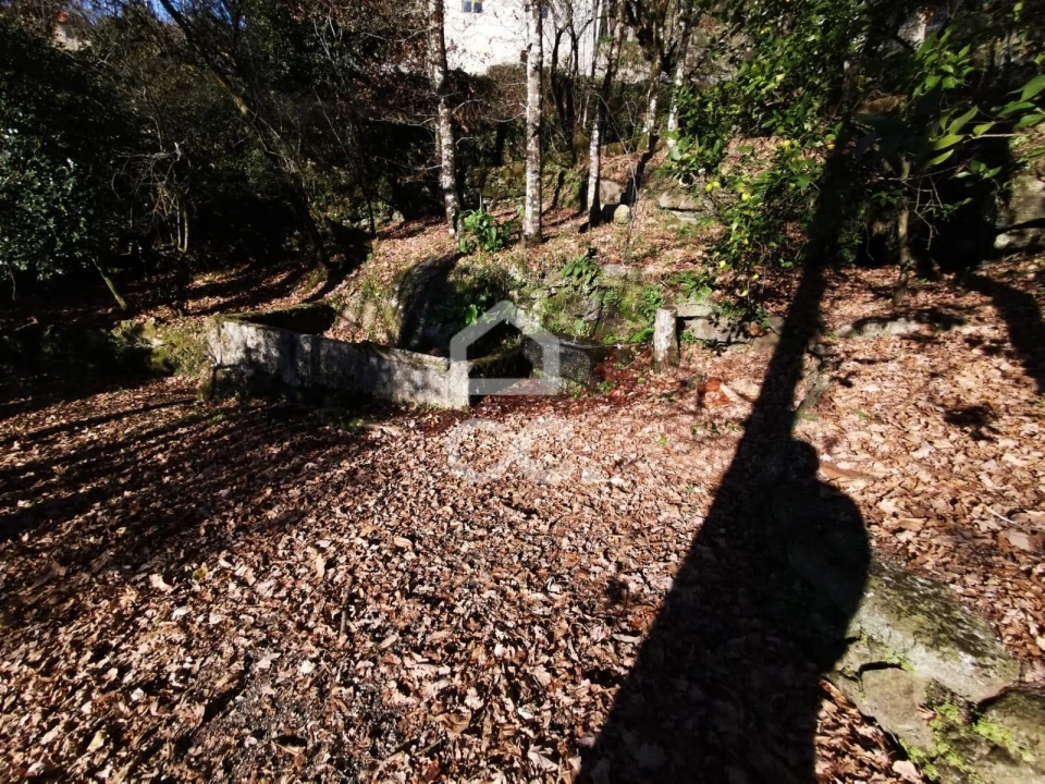 Quinta T3 para Venda em Rossas Foto 21