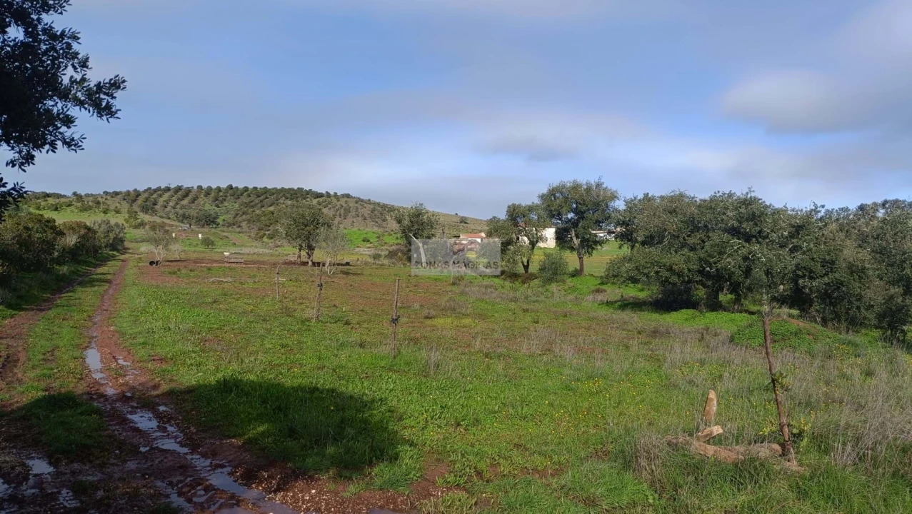 Terreno para Venda em Lagos (São Sebastião e Santa Maria) Foto 10