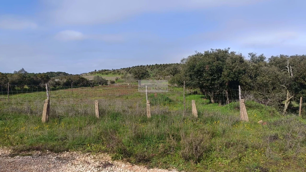 Terreno para Venda em Lagos (São Sebastião e Santa Maria) Foto 12