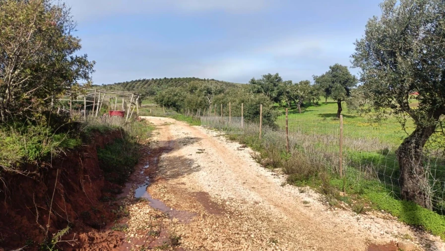 Terreno para Venda em Lagos (São Sebastião e Santa Maria) Foto 15
