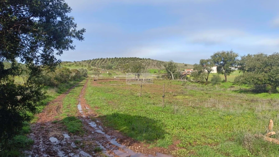 Terreno para Venda em Lagos (São Sebastião e Santa Maria) Foto 11