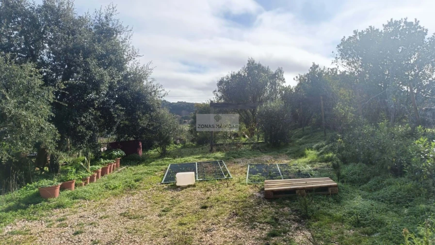 Terreno para Venda em Lagos (São Sebastião e Santa Maria) Foto 6