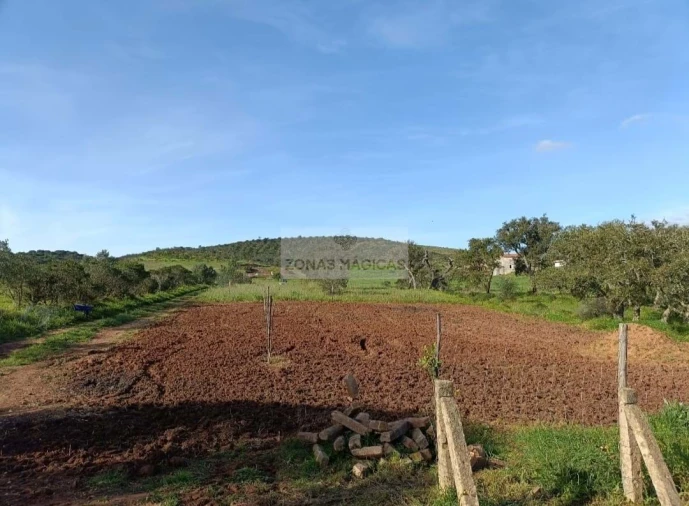 Terreno para Venda em Lagos (São Sebastião e Santa Maria) Foto 3