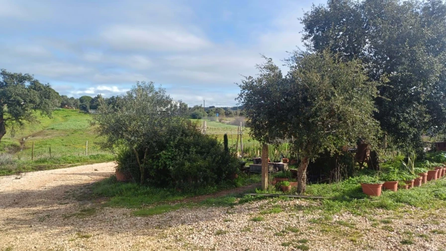 Terreno para Venda em Lagos (São Sebastião e Santa Maria) Foto 7