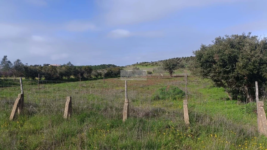 Terreno para Venda em Lagos (São Sebastião e Santa Maria) Foto 13