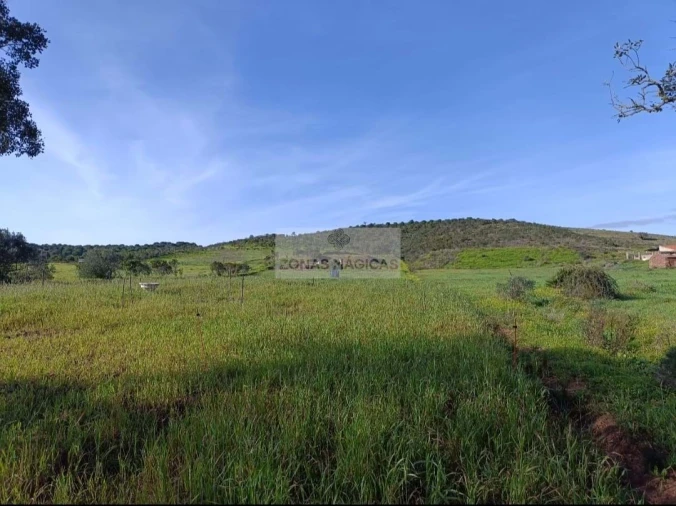 Terreno para Venda em Lagos (São Sebastião e Santa Maria) Foto 1