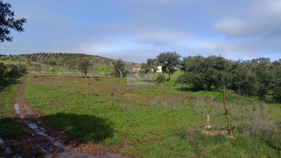 Terreno para Venda em Lagos (São Sebastião e Santa Maria) Foto 8
