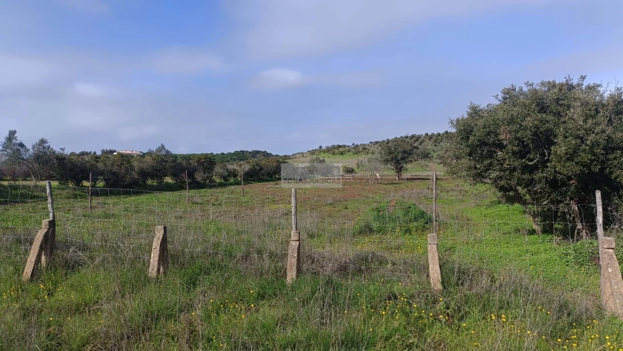 Terreno para Venda em Lagos (São Sebastião e Santa Maria) Foto 13