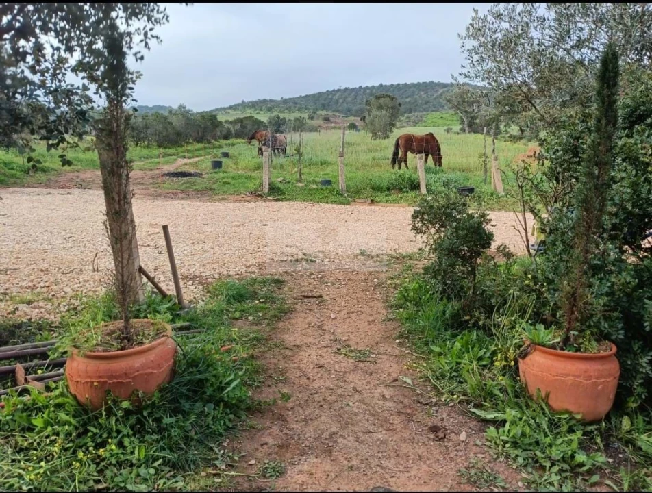 Terreno para Venda em Lagos (São Sebastião e Santa Maria) Foto 17