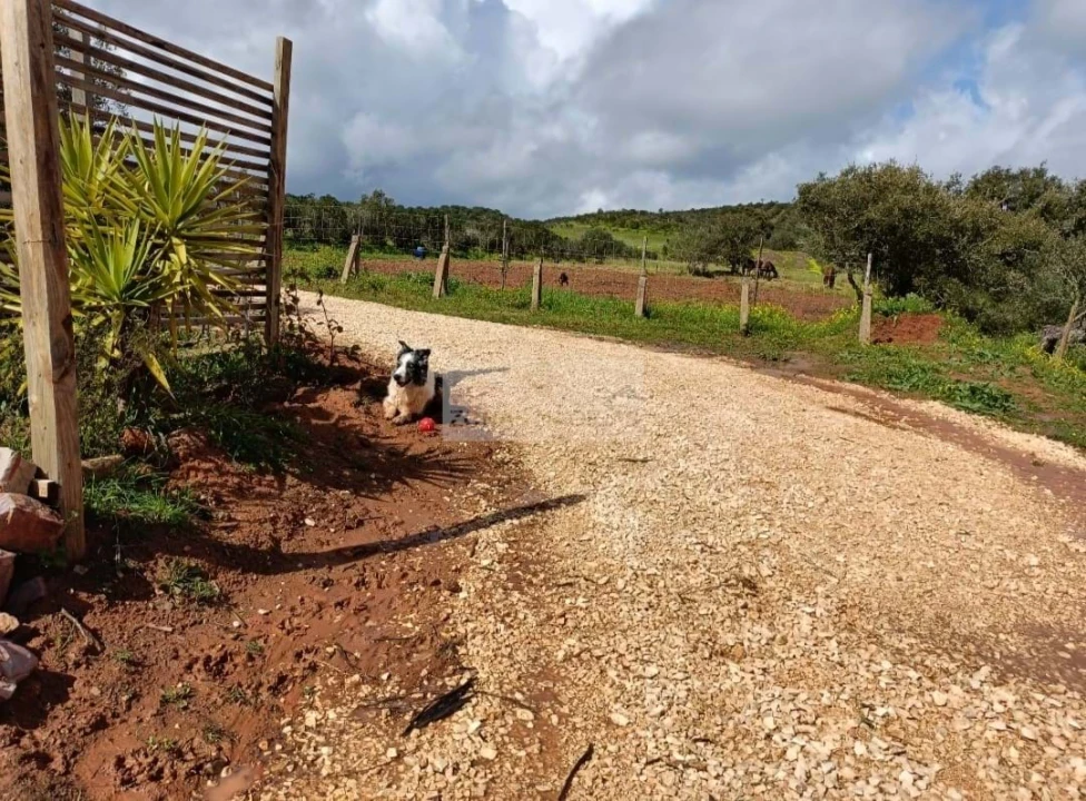 Terreno para Venda em Lagos (São Sebastião e Santa Maria) Foto 4