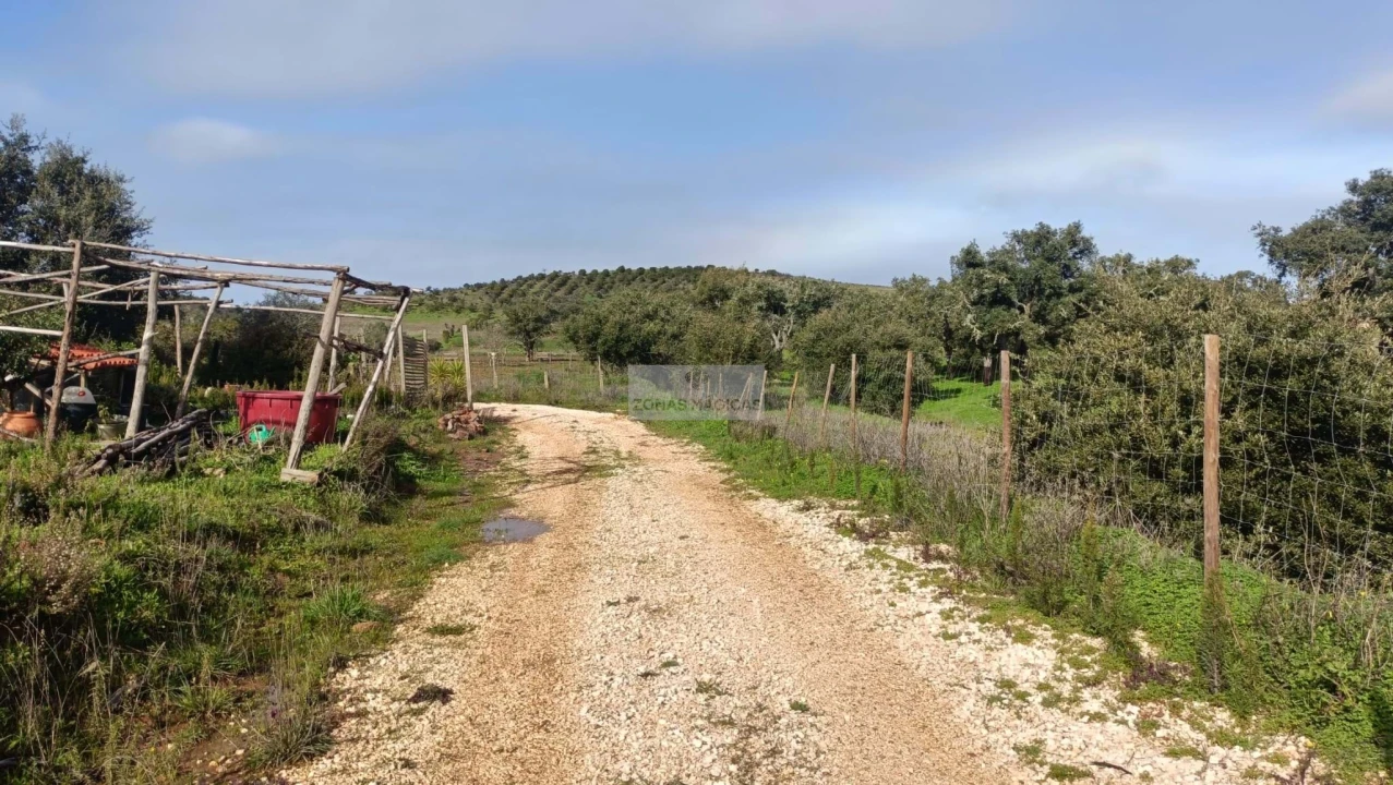 Terreno para Venda em Lagos (São Sebastião e Santa Maria) Foto 14