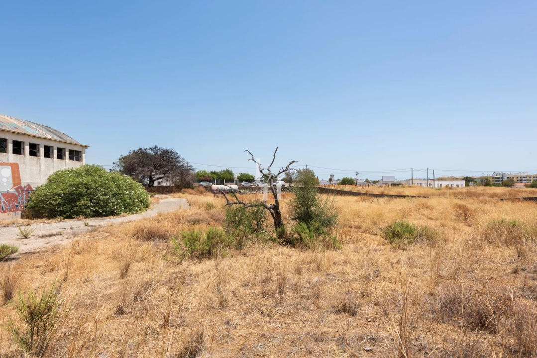 Terreno para Venda em Quelfes Foto 8