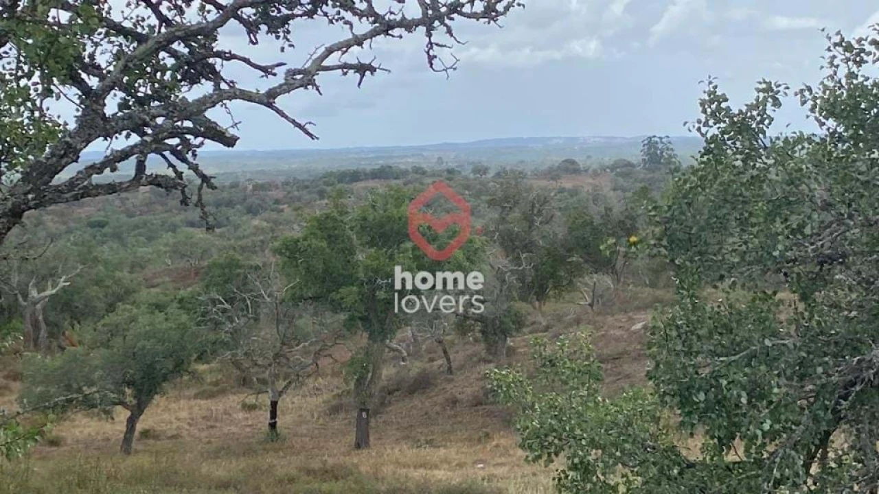 Terreno para Venda em São Francisco da Serra Foto 7