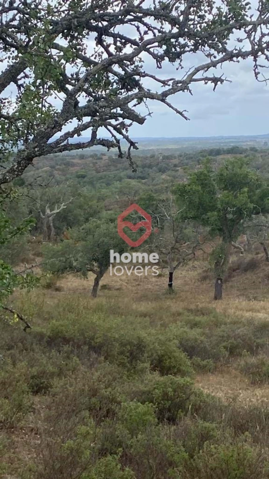 Terreno para Venda em São Francisco da Serra Foto 8