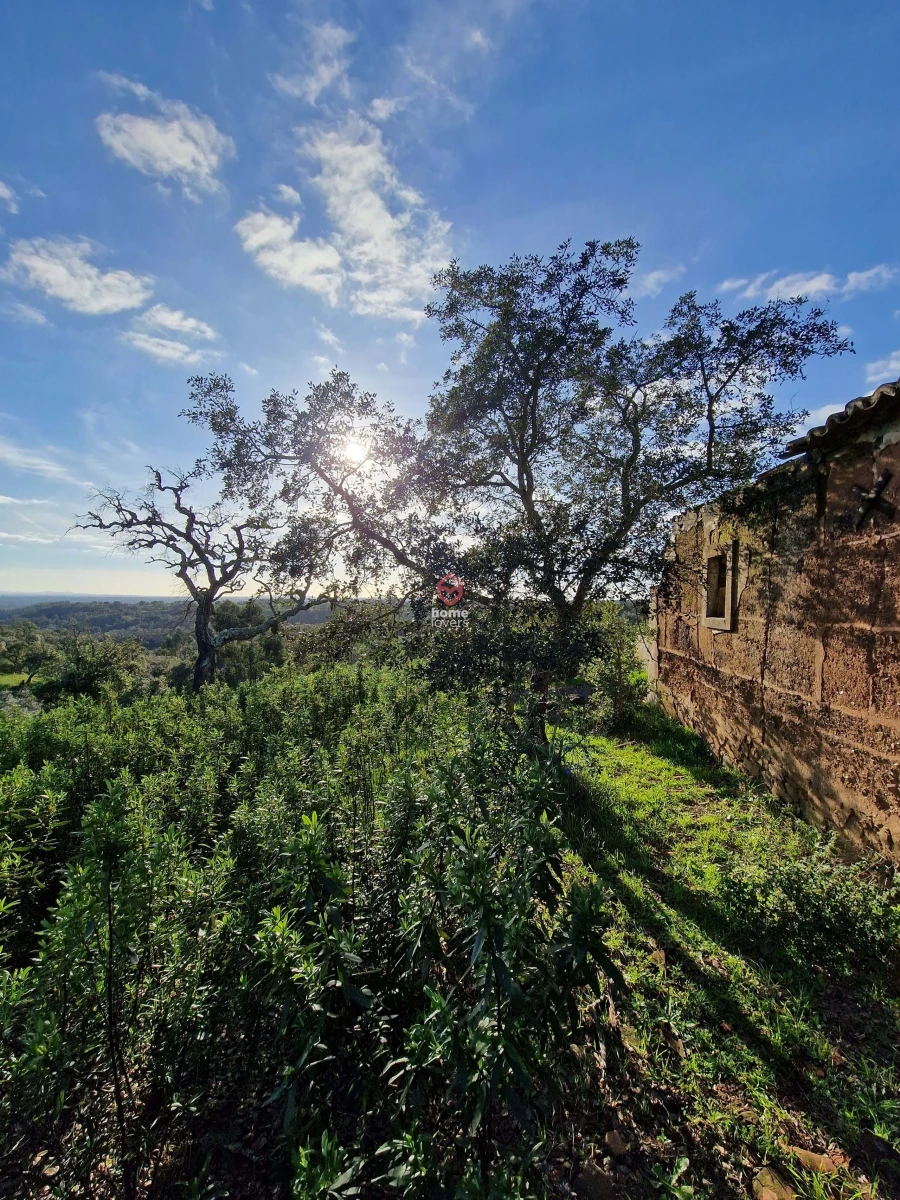 Terreno para Venda em São Francisco da Serra Foto 9