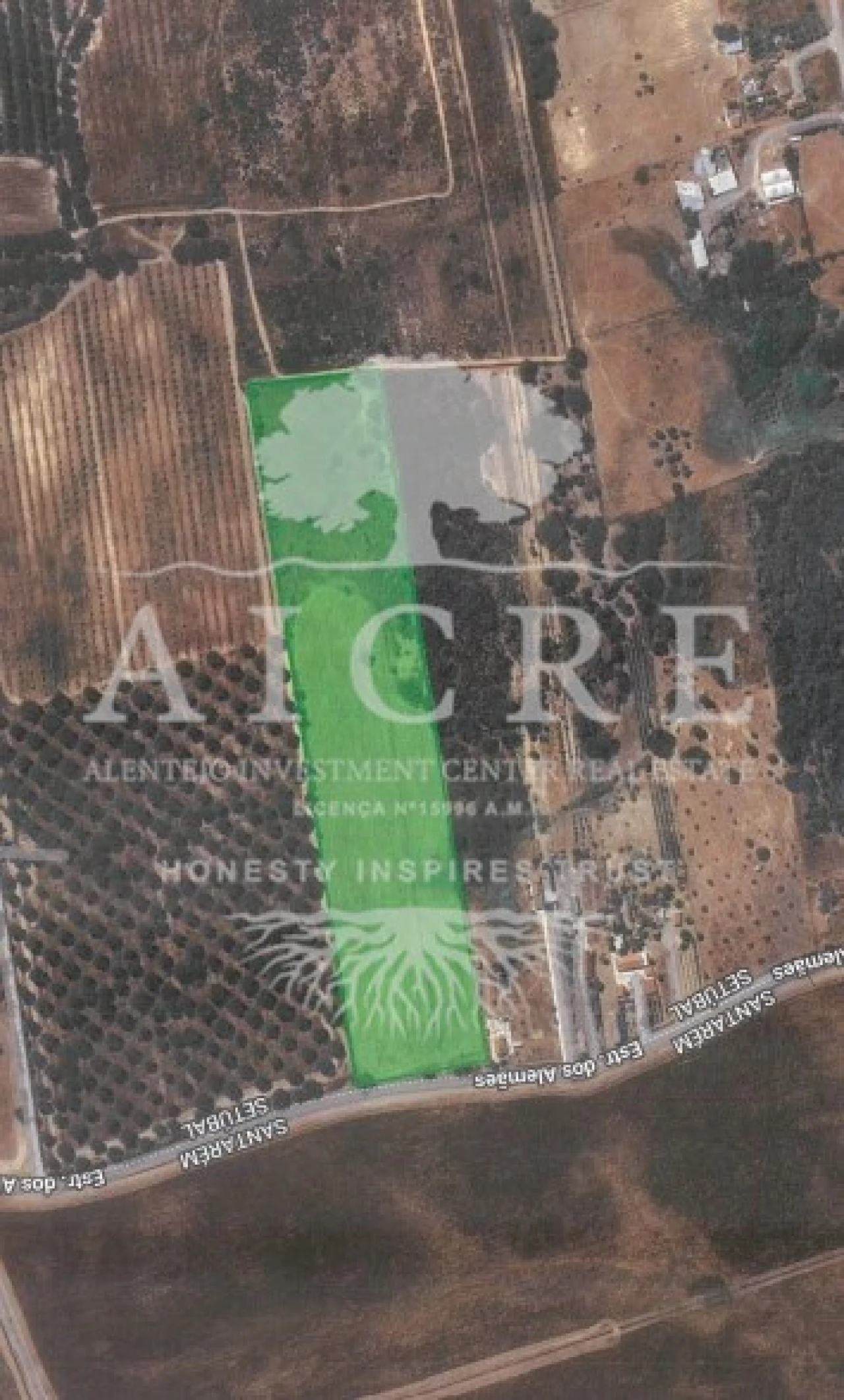 Terreno para Venda em Canha Foto 24