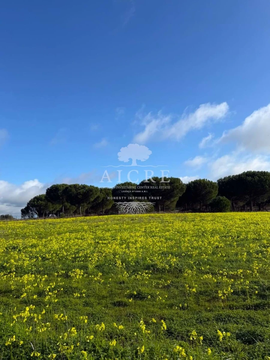 Terreno para Venda em Canha Foto 5