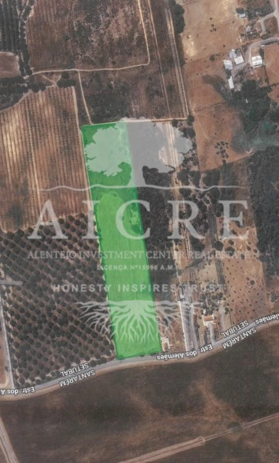 Terreno para Venda em Canha Foto 24