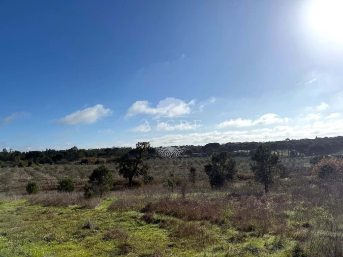 Terreno para Venda em Canha Foto 13
