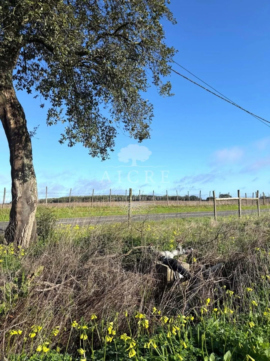 Terreno para Venda em Canha Foto 9