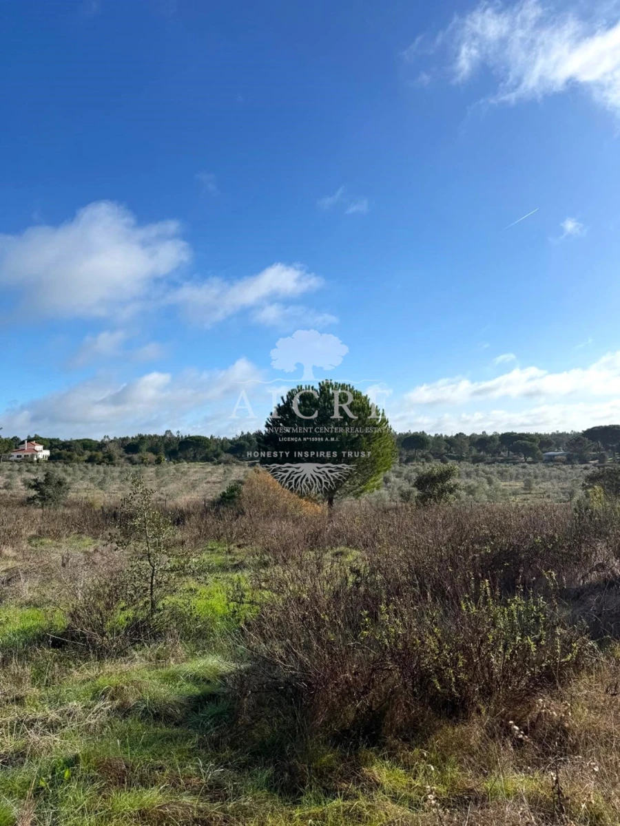 Terreno para Venda em Canha Foto 16