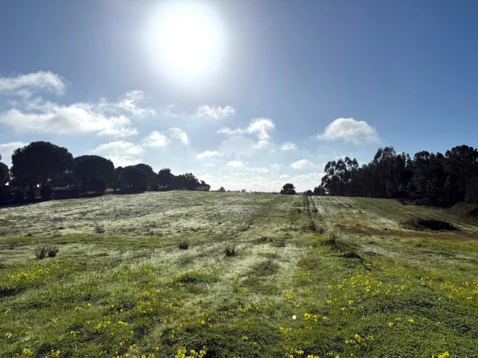 Terreno para Venda em Canha Foto 2