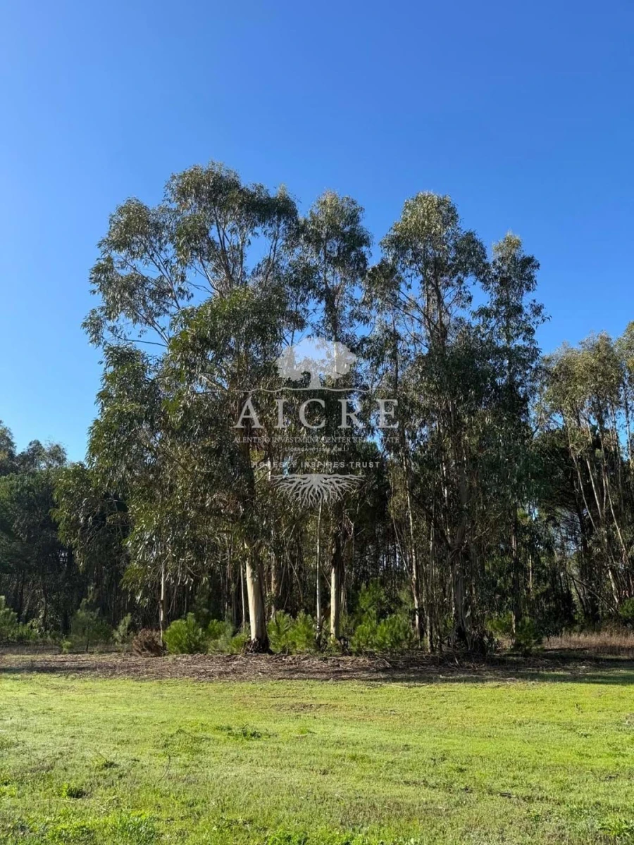 Terreno para Venda em Canha Foto 6