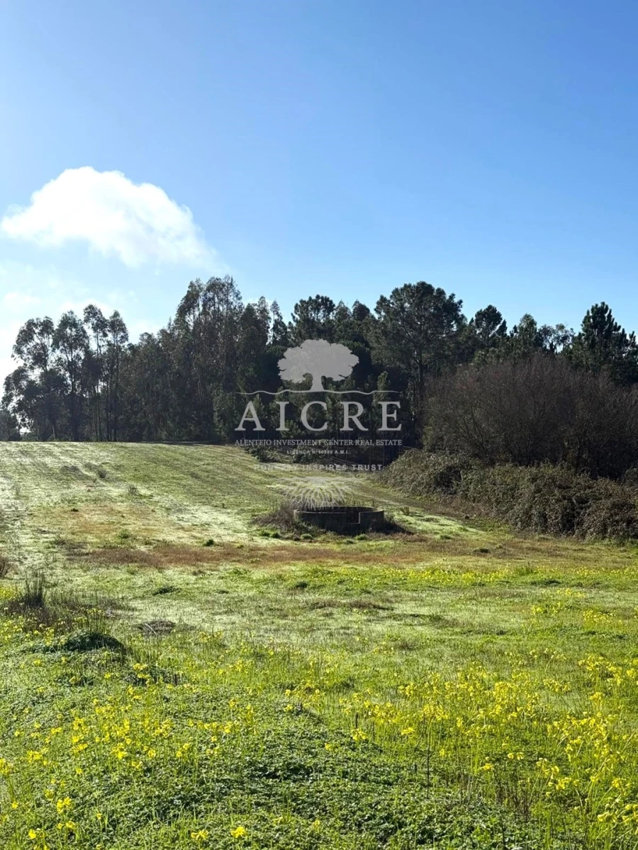 Terreno para Venda em Canha Foto 10