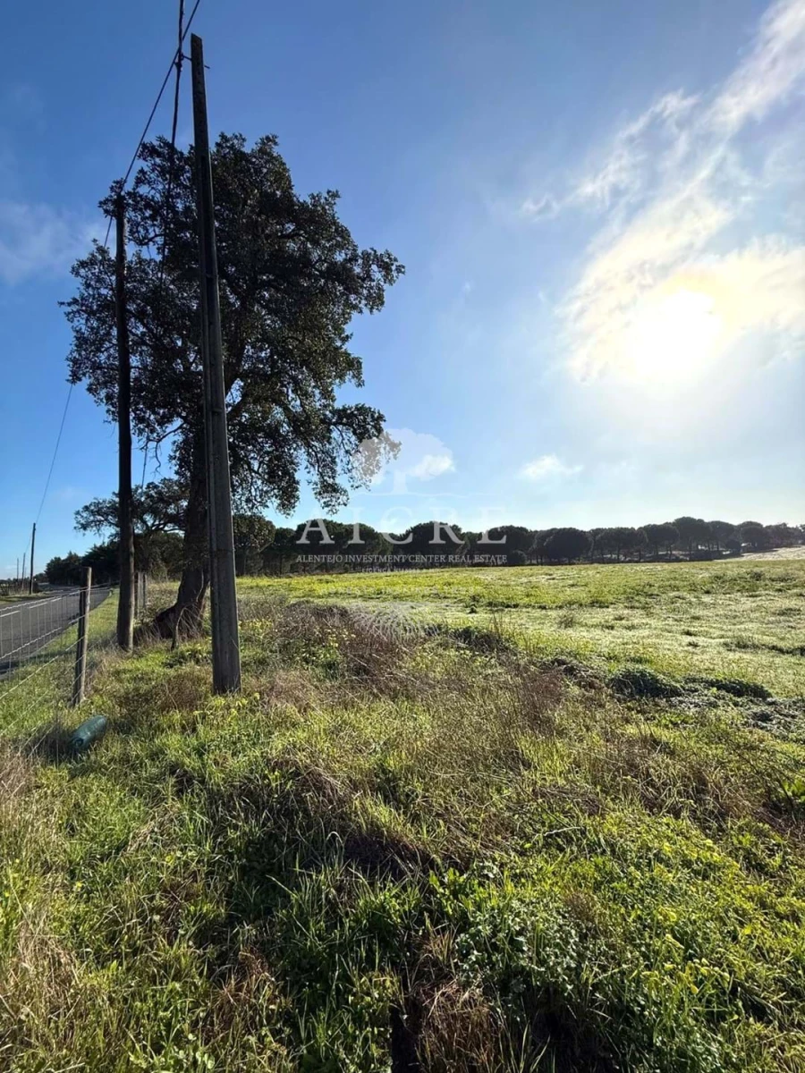 Terreno para Venda em Canha Foto 11