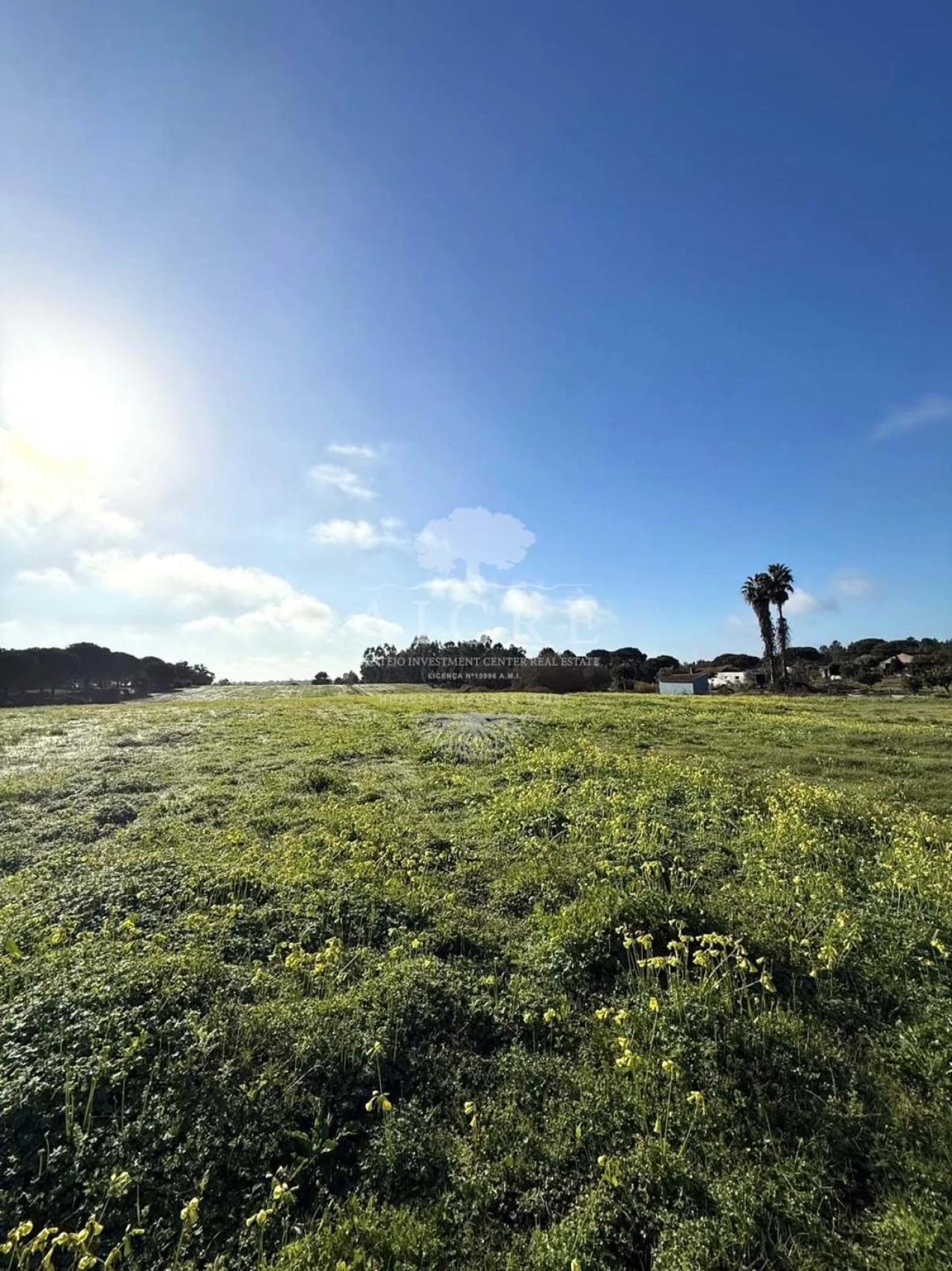 Terreno para Venda em Canha Foto 3