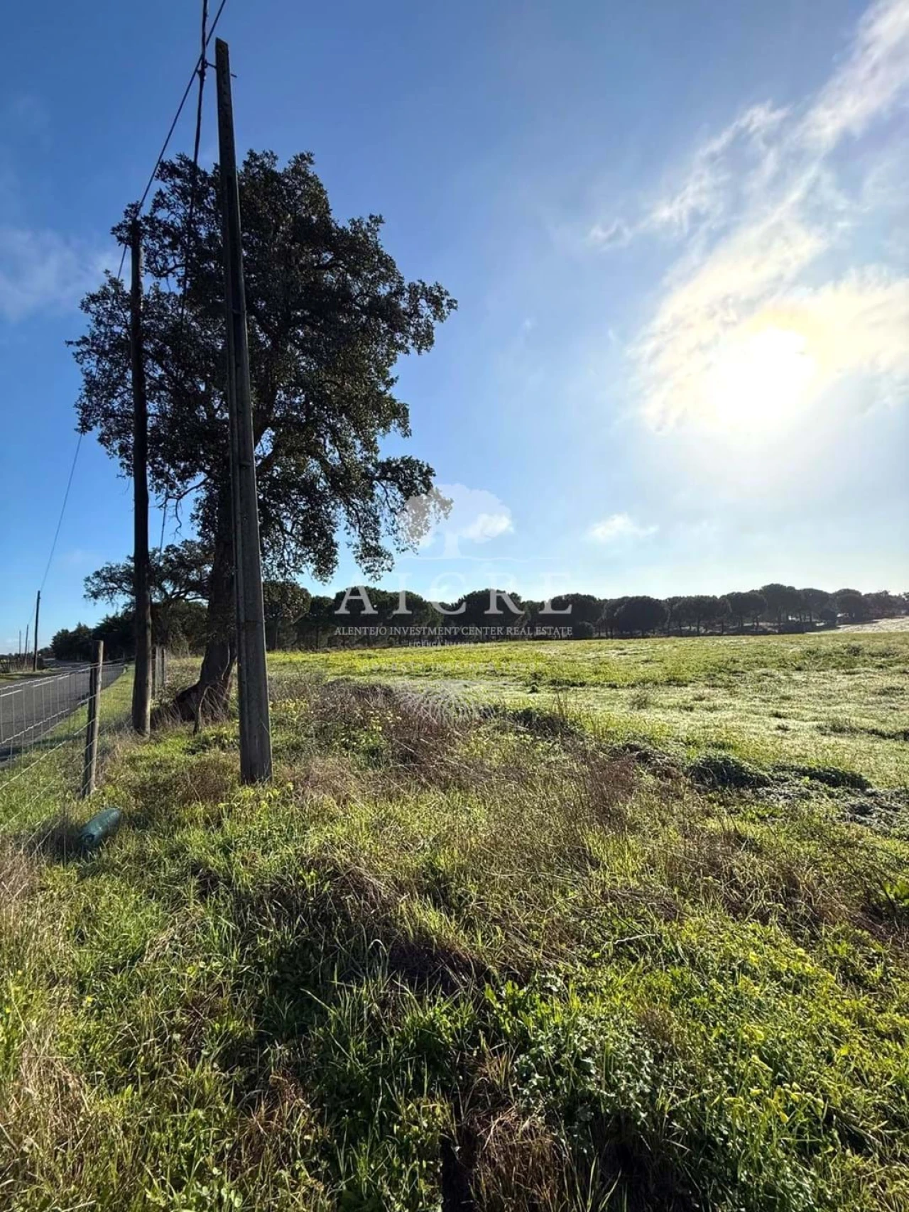 Terreno para Venda em Canha Foto 11