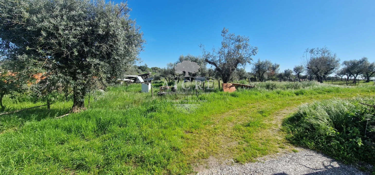 Moradia T6 para Venda em Redondo Foto 35