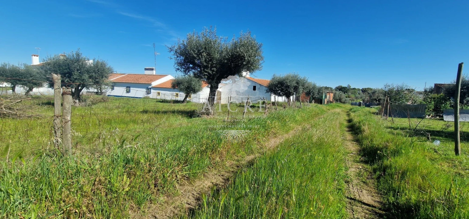 Moradia T6 para Venda em Redondo Foto 44