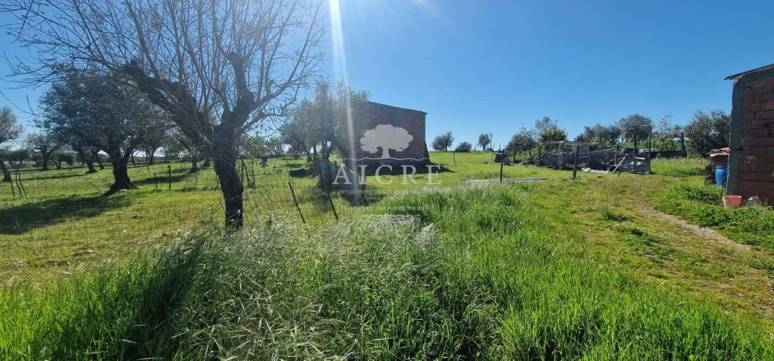 Moradia T6 para Venda em Redondo Foto 37