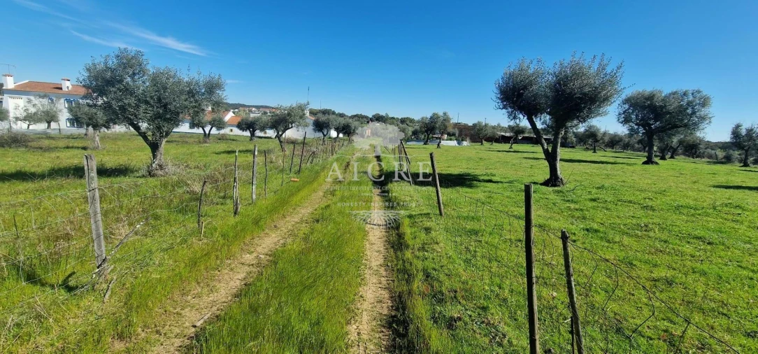 Moradia T6 para Venda em Redondo Foto 43