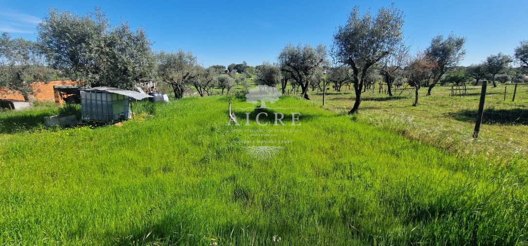 Moradia T6 para Venda em Redondo Foto 34